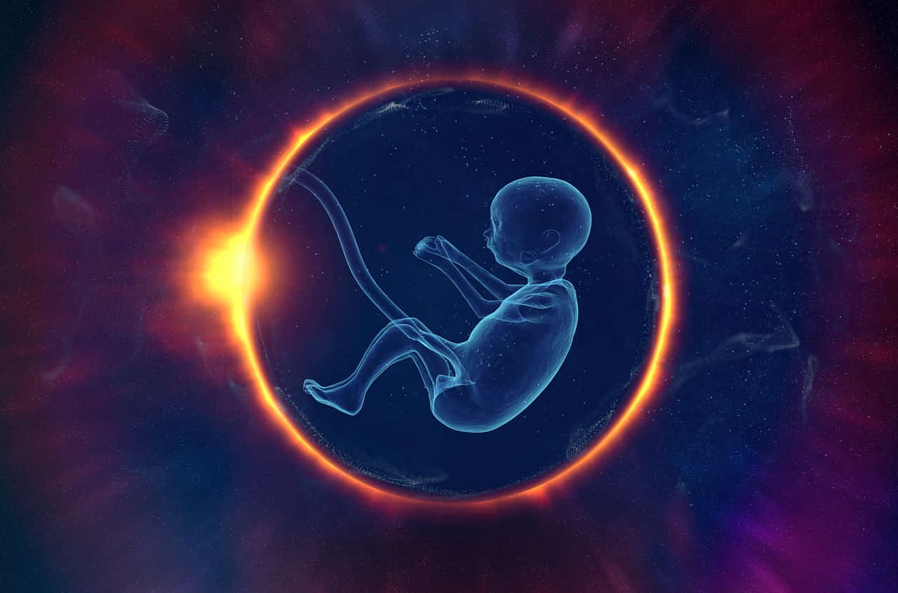 problemas de fertilidad